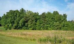 18+ Acres, GREAT LOCATION! Just minutes from Hwy 264 and Mudcats Stadium, this beautiful tract offers partial opening for dwelling and newly planted pines for retirement/investment/privacy! Easy access to Raleigh, Wilson and Rocky Mount
Listing originally