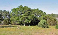 STUNNING 10+/- ACRES! GREAT FLAT BUILDING SITES! MAJESTIC LIVEOAKS! CURRENTLY UNDER AG. EXEMPTION! BLANCO RIVER ACCESS FROM HOA RIVER PARK (PICTURES ATTACHED! PARTIALLY FENCED! GREAT OPPORTUNITY IN A GREAT SUBDIVISION!Listing originally posted at http