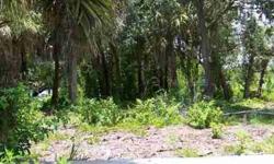 Beautiful high and dry flat pasture land .Perfect for your dream home .This property is a MUST SEE you will not be dissapointed.Owners are principals and licensed Fl. Realtors