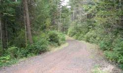 Come build your dream home on this 31 plus acres. Very private and ready to build on.Listing originally posted at http