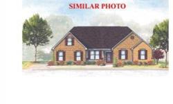 This 3BR/2B new construction home will feature a fireplace in the family room, a formal dining room, breakfast nook, pantry, and FROG that could serve as a 4th bedroom or bonus room. Located on over an acre lot in desirable Camden County in the community