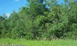 this beautiful 10 ac lot is located just minutes from Bemidji & is waiting for your dream home, priced to sell @ $22,000.Listing originally posted at http