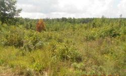 This is a nice 6.8 acre tract right outside of Waynesboro, TN. Level to rolling with open and some trees. Private gravel road frontage with power at the road. Financed with only $300 down to cover paperwork fee. Payment on a 20 year term for example would