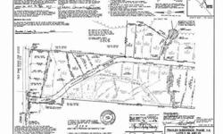GRAND TRAYLEX SUBDIVISION. GORGEOUS .61 ACRE WOODED LOT. TRAYLEX HAS SEVERAL AVAILABLE LOTS TO BUILD YOUR DREAM HOME*LOTS RANGE FROM HALF ACRE TO 12 ACRES*CLEARED AND WOODED LOTS*FOR EQUESTRIAN ENTHUSIASTS, BRING YOUR HORSE FOR LOTS WITH 2 ACRES OR