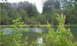 BEAUTIFUL MOUNTAIN PROPERTY, GREAT FOR A MINI FARM. THERE IS A POND APPROX. 3 ACRES, ONE THAT IS ABOUT 1 1/2 ACRES, THEN ANOTHER ABOUT 1/2 ACRE. PROPERTY IS PARTIALLY CLEARED. CITY WATER AT THE MAIN ROAD PLUS A WELL. THERE IS AN OLD FARM HOUSE THAT IS ON