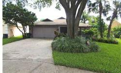 Fantastic floor plan w/this 3 bedroom/plus office/2 baths, screened pool in Carrollwood Village. Walk into a huge foyer w/floor to ceiling glassed in garden area, followed by soaring ceilings and stone fireplace highlighting the great room. This floo