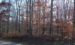 WebID 44282
Southampton wooded lot on quiet cul de sac. Close to the Village and Ocean beaches. Ideal for starter or retirement home.
16 Milton Rd None
David Saland tel
