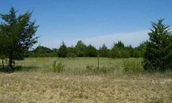 Part of an 18 ac. parent tract. Full of cedars. Lots of road frontage on FM 1553 & CR 4244. Fenced on two sides. Wonderful homesites with high elevations with beautiful views. Water and electric available at the road. Rectangular shaped. Enjoy country