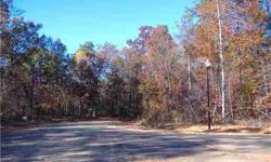 Lovely wooded lots on private culdesac. From .6 acre to 20 acres. Bring your own approved builder. Submit plans to HOA for approval.
Listing originally posted at http