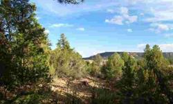 Timberlake Ranch- This parcel begins flat then goes up a slight hill through varied trees- pine, juniper and oak. There are views of the red striated cliffs to the west. There are some very interesting rock formations near the top. Flat areas for camping