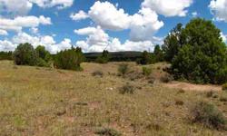 Timberlake Ranch- There is an artesian well on the property which pulls in the animals from all around. A variety of trees, on a hill and open meadow where the well is. Small arroyo on the east side where the elk and deer travel. Some nice views through