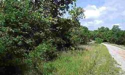 10 acres unrestricted ready for the right buyer to build their dream home close to Table Rock Lake. There's 7 acres additional just 2/10 of a mile on east of this property on FR 2280. Come see to appreciate this beautiful Ozark setting.
Listing originally