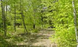 Enjoy beautiful wooded acres on Maine's countrysides. This property is to be found on Meadow Road Map 4 Lot 24-3. Special financing is now available for this property, ANY credit, ANY income will be considered! Call now for more information.
