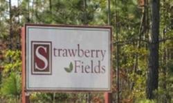 Building lot for sale located in popular Strawberry Fields, a new subdivision in a wooded, country setting within Maple Hill. Conveniently located near Jacksonville, Camp Lejeune, Burgaw and Holly Ridge. 20 minutes from Topsail Beaches. Low HOA