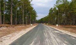 Building lot for sale located in popular Strawberry Fields, a new subdivision in a wooded, country setting within Maple Hill. Conveniently located near Jacksonville, Camp Lejeune, Burgaw and Holly Ridge. 20 minutes from Topsail Beaches. Low HOA