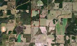 This land would make a nice Farm for horses, agriculture and recreation. Beautiful with timber value also. Great price and centrally located in the panhandle of Jackson County, Florida.Listing originally posted at http