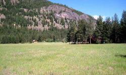 Fun Central! 1.25 Acre homesite located in Chechaquo Ranch will put you on the trails in seconds from your doorstep! Near the Mazama Store, and unlimited hiking, biking, fishing and winter activites! Level building site with meadow and Goat Wall-Flagg Mtn
