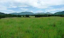 Paved roads deliver you to this beautiful five acre parcel in the heart of dufort valley.