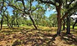 Premium large lot in prestigious Belvedere. Huge live oak trees cover this beautiful site, very slight grade from front to back offering a extremely flat building site with an entirely usable yard. Endless landscaping and outdoor living opportunities