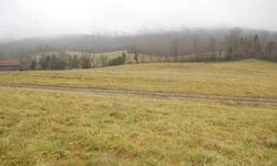 #2443 - Rose Hill, VA - Location, Location, Location! This is an awesome farm on the Four-Lane in Rose Hill, VA. Rarely does property of this quality come on the market. This farm has 82.363 lush acres laying really well, ranging from flat to rolling,