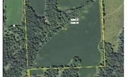 This hunting farm is located in Jo Daviess County north of Elizabeth, IL. The property consist of 53 acres of land for sale with 30 ac agricultural farmland and 23 ac recreational timberland. This property has been strictly QDM managed for many years and