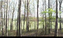 Amazing 56.9 acre tract. Mostly wooded with a private setting. Just gorgeous! Homes in the area are approximately 300's. Some restrictions. When you see this you will love it. City water, DSL, and electric available. Build your new home or private estate.