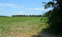 GREAT LOCATION AND POTENTIAL! Well-shaped tract for subdivision development or for your own 40-acre horse or cattle ranch! Pastureland ready for you to build your dreams! Fenced on three sides. Near I-20 for excellent access and commuting. Close to shopp