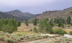 An Absolutely Gorgeous Lot with Aspens, Pines and Swauger Creek meandering through. Amazing views in all directions offering the serenity and peacefulness that only nature's beauty can create. Mostly flat, this beautiful property is the perfect spot to