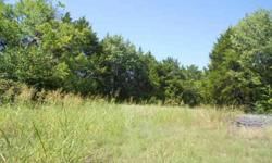 BEAUTIFUL BUILD SITE IN SOUGHT AFTER LOVEJOY ISD WITH NO HOA. TONS OF TREES AND A CREEK.Listing originally posted at http
