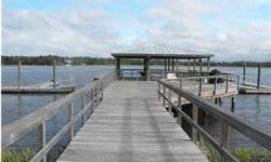 Beautiful deep water lot on the Wando River with a 1/10 share of a deepwater dock with its own boat slip. The dock has ten deeded slips for just ten homeowners, each paying 1/10th of the maintenance and insurance costs -$1700/year per owner. This covers