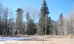 New offering of pristine lot adjoining open space to the south in the pines village north subdivision. Listing originally posted at http