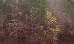 Good hunting land in Hawkins County. Great for a private retreat. Not far to Cherokee Lake for good fishing and boating. Not far to Kentucky. Heavily wooded. Creek on property. FINANCING AVAILABLE.Listing originally posted at http