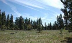 WOLF CREEK RANCH - a special group of parcels created from the original Thompson Homestead holdings. The parcels are on the south side of Wolf Creek, with 2 private bridges for access. Lot 8 offers nearly 11 acres (can be divided) with lovely and private