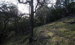 On quiet and private cul de sac street with views of local hills and forest. Upslope lot. Will need engineered septic system. Underground utilities, so no ugly wires to foul up the view. Seller will finance on $7,200 down, 6% APR, only $84 monthly,