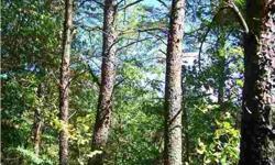 $24,000. BLUFF PROPERTY WITH LOTS OF POTENTIAL. LOADED WITH HARDWOODS. LOCATED ON FREDONIA MTN.WATER, ELECT PHONE AT ROAD. VIEWS FOR MILES FROM BACK OF PROPERTY Presented by Christie Metzger, call 423-322-9632 for more info. MLS 1164030.Listing originally
