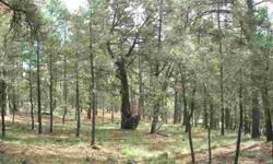 Just over acre of beauty with mature Ponderosa Pines, wildlife and some awesome building areas. Rarely offered parcel in the quiet subdivision of Sun Valley, just north of the resort Village of Ruidoso . Community water and natural gas are available. The