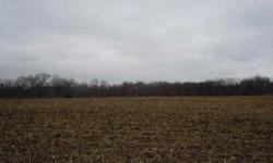 Level 3.5 Acre Building Site. Currently being farmed, on all weather blacktop, just south of Rt 336. Rural water available. More land available!Listing originally posted at http