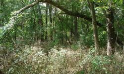 Just over 1 acre of wooded, rolling land! This lot is located in Bath charter township, not far from Rose Lake State Wildlife Area! This place is perfect to build your dream home or place a mobile. Utilities