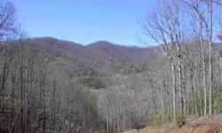 MOTIVATED SELLER!! Great building lot for a mountain cabin. Driveway is already in. Lots of mountain laurel on property.Listing originally posted at http