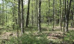 AFFORDABLE OWNER FINANCING ----- Adirondack Getaway! Quiet woodlands surrounded by working farmland. Tons of wildlife! Year around access with small year around brook. This tract is perfect for anyone looking to build a year around country home or camp.