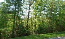 -A quite wooded lot on cul-de-sac overlooking the park w/peaceful sounds of a near by stream. Champion Hills is a friendly, member owned, debt free, community w/numerous activities. A Tom Fazio designed golf course reated top 10 in NC, tennis, swimming,