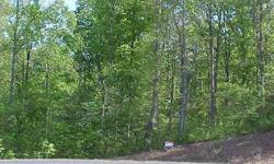 3.381 acre wooded lot in Stockton Lake Subdivision. Hill top building site. Priced to sell!
Listing originally posted at http