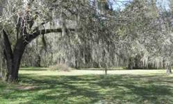 Beautiful treed 1 acre lot in the country, priced to sell. Easy access to I-4, Highway 92, and Highway 574.