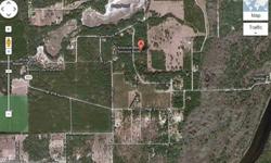 2.49 ACRES - NE 807 AVE - GORNTO SPRINGS High and Dry Land - Wooded Lot Short Walk to Swannee River and boat ramp Quiet Street minutes from HWY 349 Motivated Seller