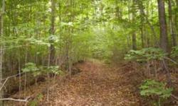 Step off your property into the Chequamegon-Nicolet National Forest and explore/hunt to your heart's content. That's right, this fully wooded parcel adjoins the forest AND has town road frontage to make getting there that much easier. Huge trees, and
