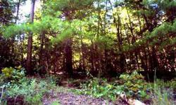 WALKING DISTANCE TO LARGE WATERFALLS! These are beautiful lots that are level & a perfect place to build your cabin home in the mountains! $24,995Listing originally posted at http