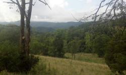 160 Acres of Timber land for sale in Big Stone gap Va just across the Lee County Line. This land was once farm years ago and still has the first ever store In Lee County Va. Formerly JJ Kelly Owned property with a Lot of History. Brick store still