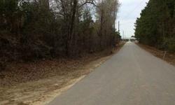 25 heavily wooded unrestricted acres with a county maintained road. Property is basically a rectangle in shape