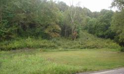 4571 WOODRUMS LANE, CHAS - $250,000
LAND, LAND, LAND! FIFTY ACRES with places to build, hunt, timber and enjoy. Family owned acreage for 150 years! NO RESTRICTIONS. Public sewer is available. CALL TARA TURLEY 304 634-2392 ML#136716
Listing originally