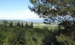88 plus treed acres with single wide mobile to live in while you build your secluded dream home. This home has a stupedous view of table rock the valley and Mt. McLoughlin. You can literally see for miles. The road in is gravel and does not need 4 wheel